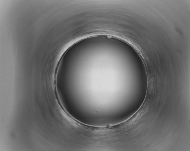 X0000112801535200908281517