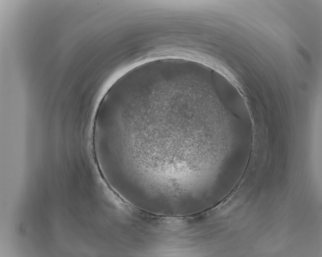 X0000112801536200908281517