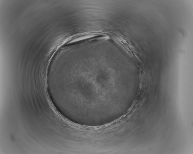 X0000112800002200909041442