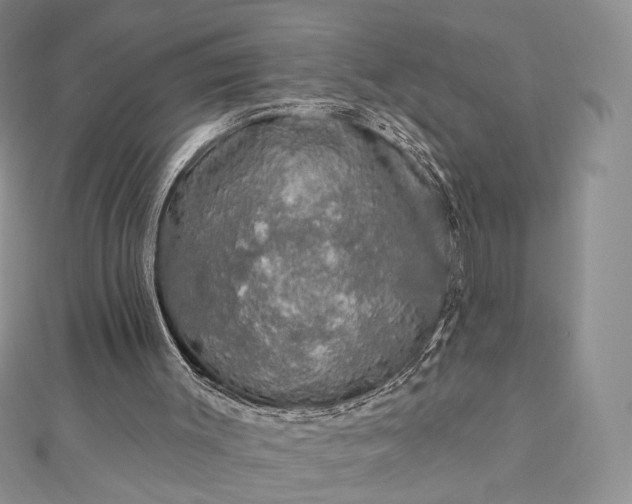 X0000112800003200909041442