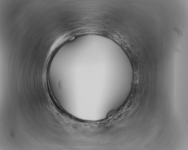 X0000112800004200909041442