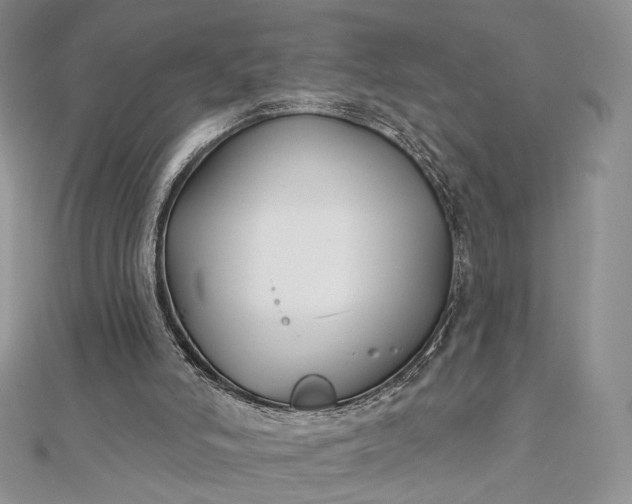 X0000112800006200909041442