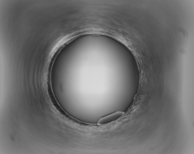 X0000112800007200909041442