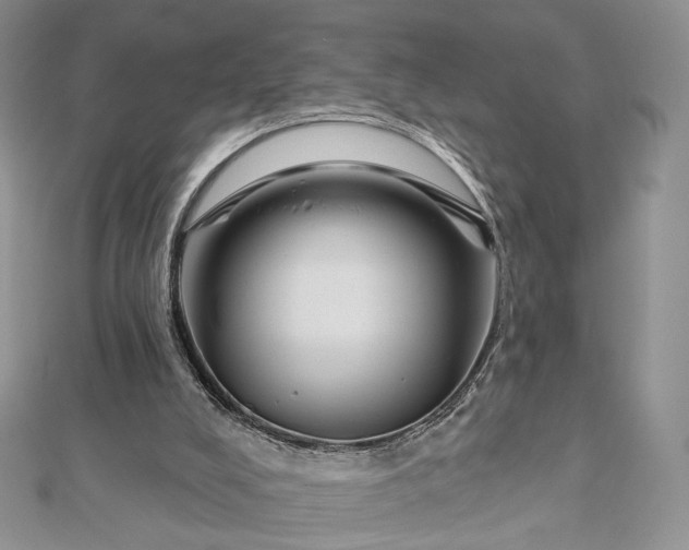 X0000112800008200909041442