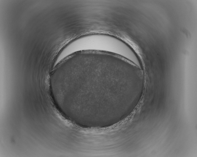 X0000112800009200909041442