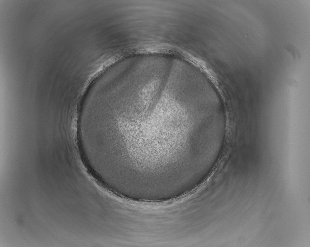 X0000112800010200909041442