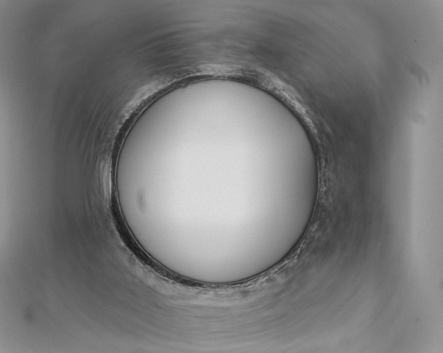 X0000112800011200909041442