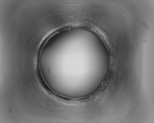 X0000112800012200909041442