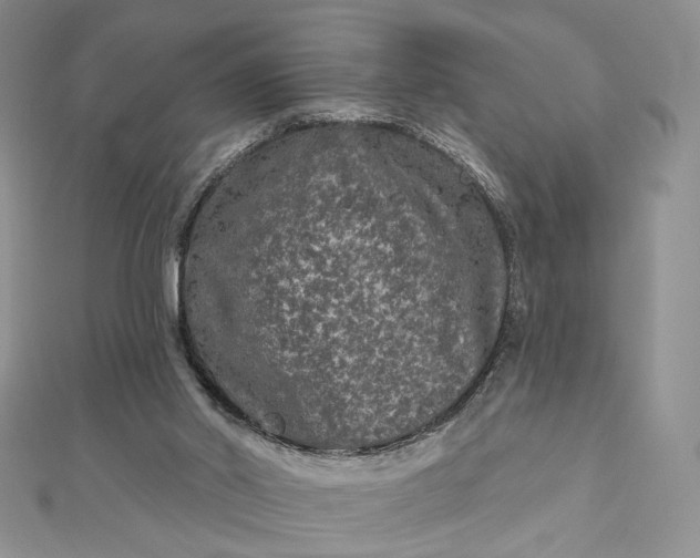 X0000112800014200909041442