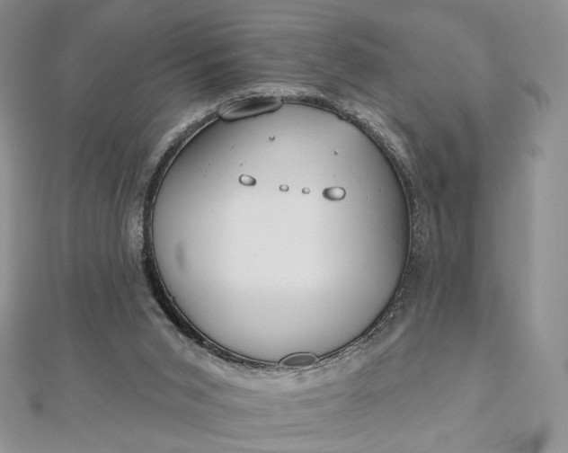 X0000112800015200909041442