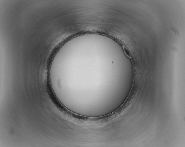 X0000112800016200909041442