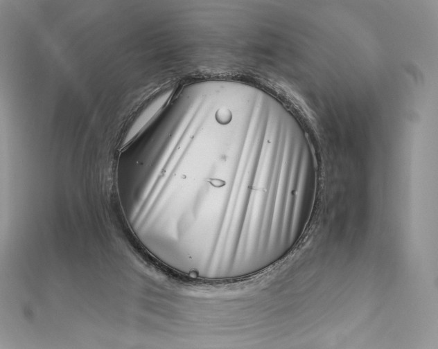 X0000112800017200909041442