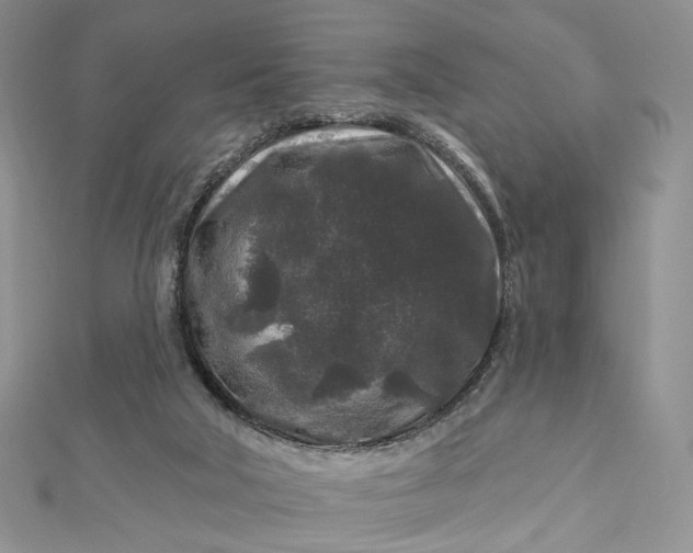 X0000112800018200909041442