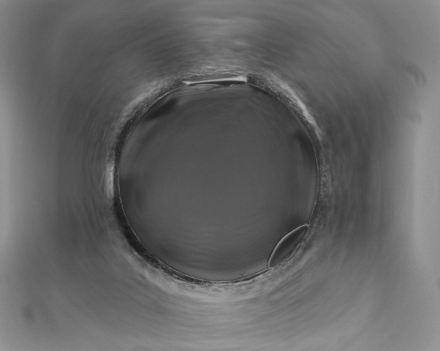 X0000112800019200909041442