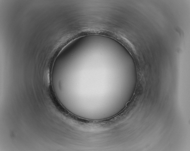 X0000112800020200909041442