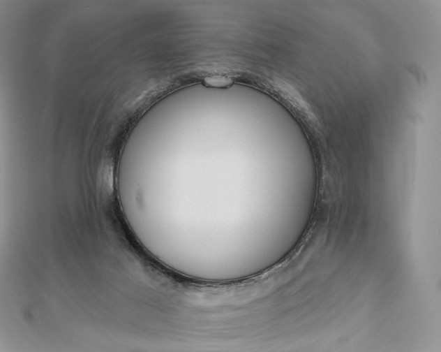 X0000112800021200909041442