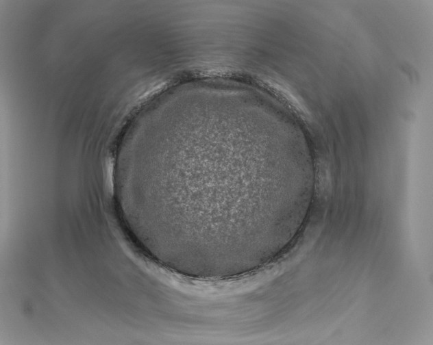 X0000112800022200909041442