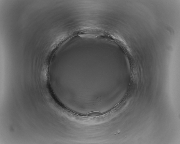 X0000112800023200909041442