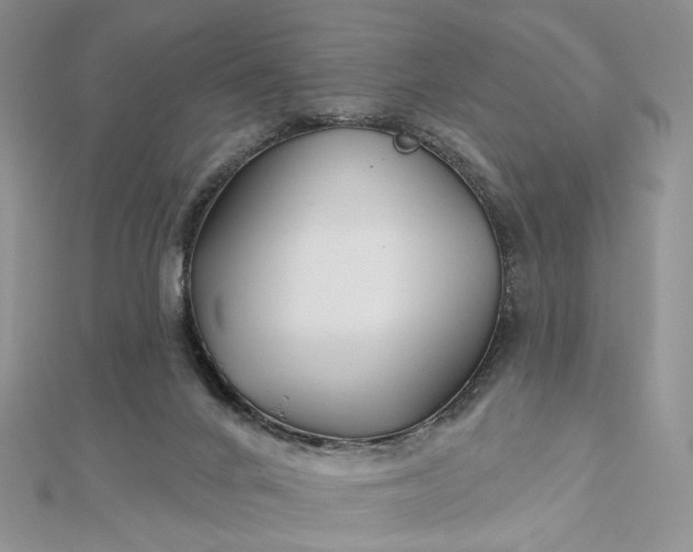 X0000112800024200909041442