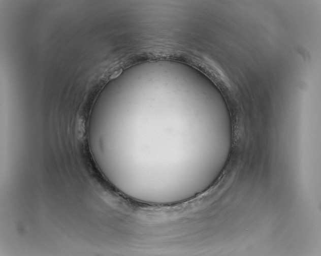 X0000112800025200909041442