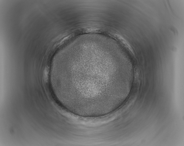 X0000112800026200909041442