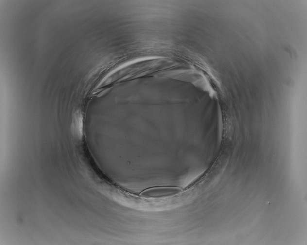 X0000112800027200909041442