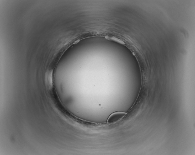 X0000112800028200909041442