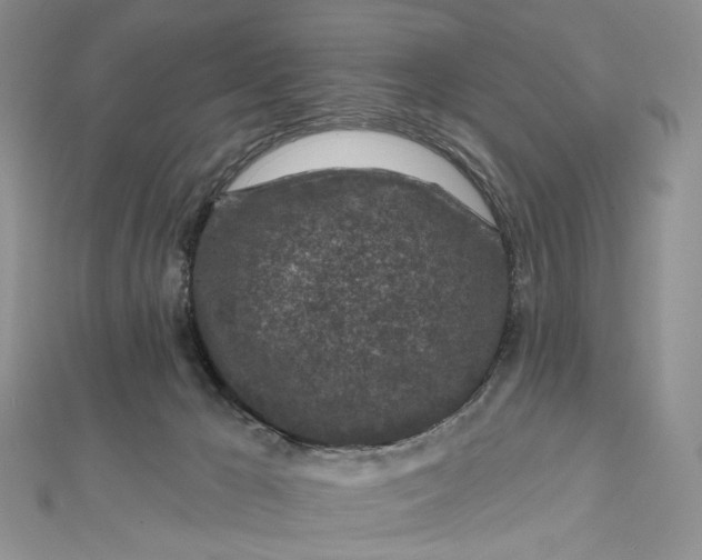 X0000112800029200909041442