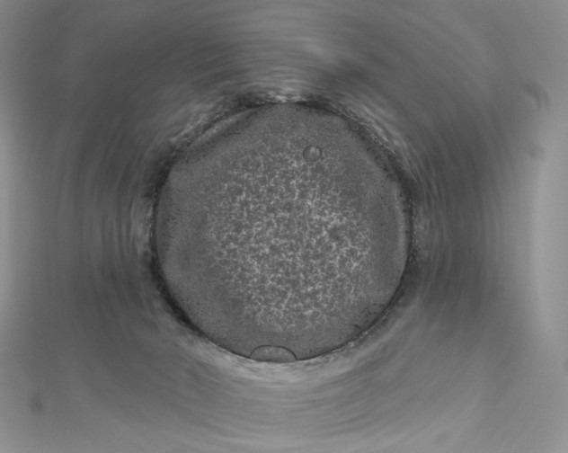 X0000112800030200909041442