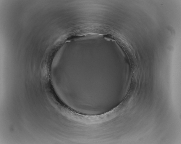 X0000112800031200909041442