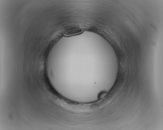 X0000112800032200909041442