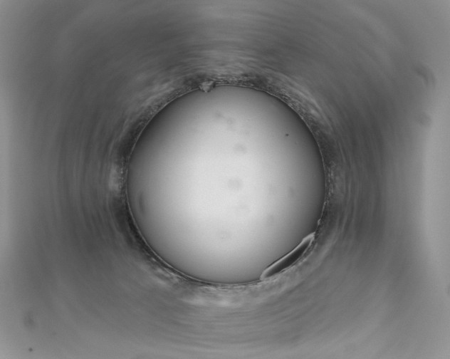 X0000112800033200909041442