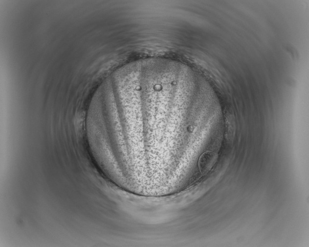 X0000112800034200909041442