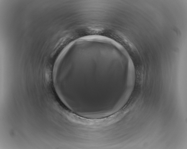 X0000112800035200909041442