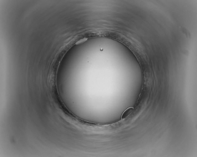 X0000112800036200909041442