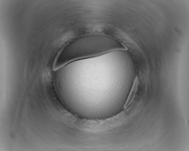 X0000112800037200909041442