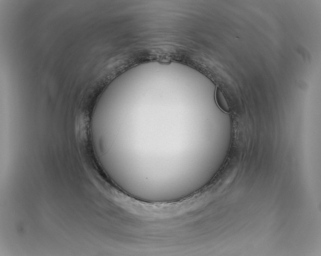 X0000112800038200909041442