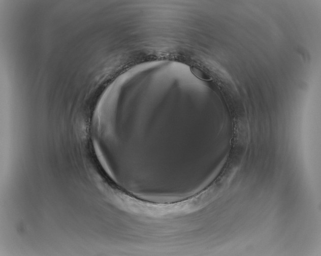 X0000112800039200909041442