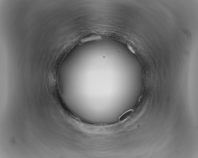 X0000112800040200909041442