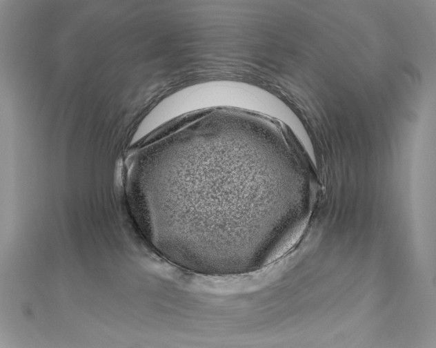 X0000112800041200909041442