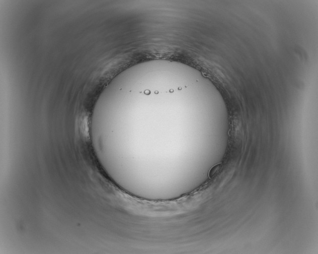 X0000112800042200909041442