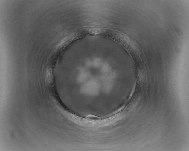 X0000112800043200909041442