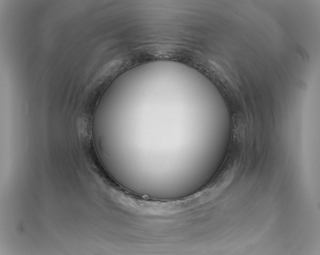 X0000112800044200909041442