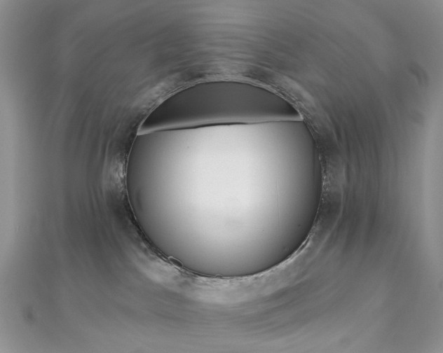 X0000112800045200909041442