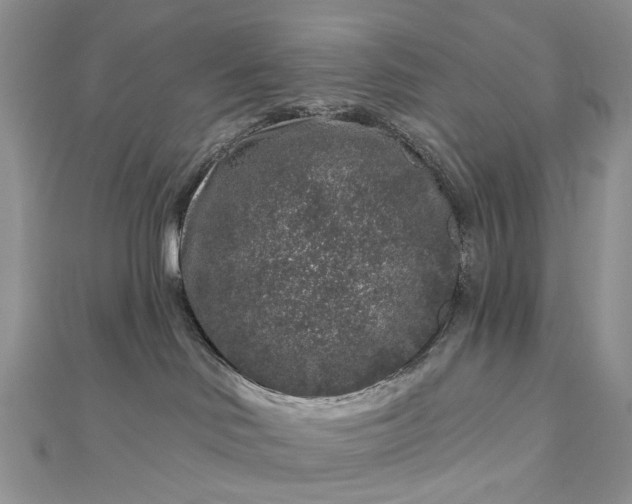 X0000112800046200909041442