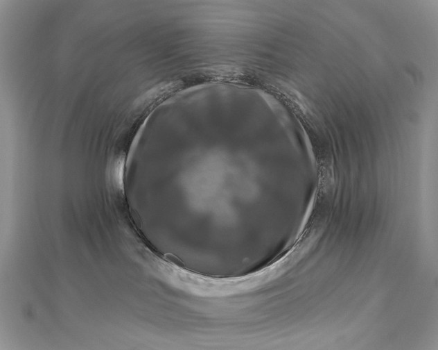 X0000112800047200909041442