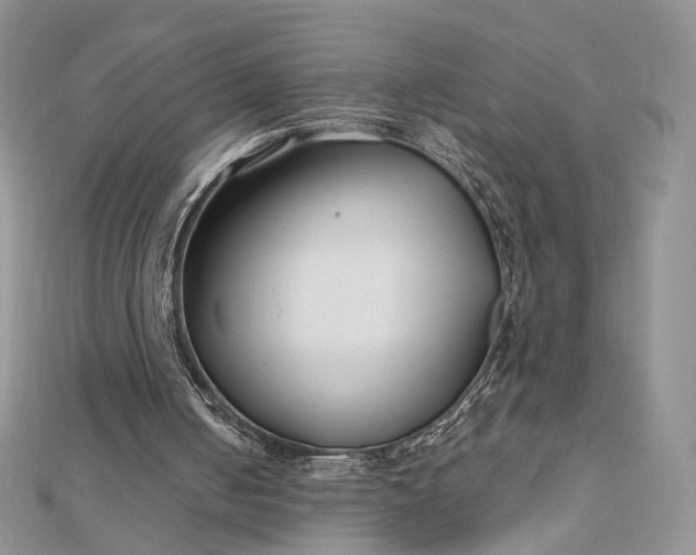 X0000112800050200909041441