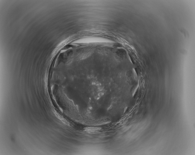 X0000112800051200909041441