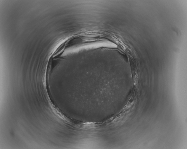 X0000112800052200909041441