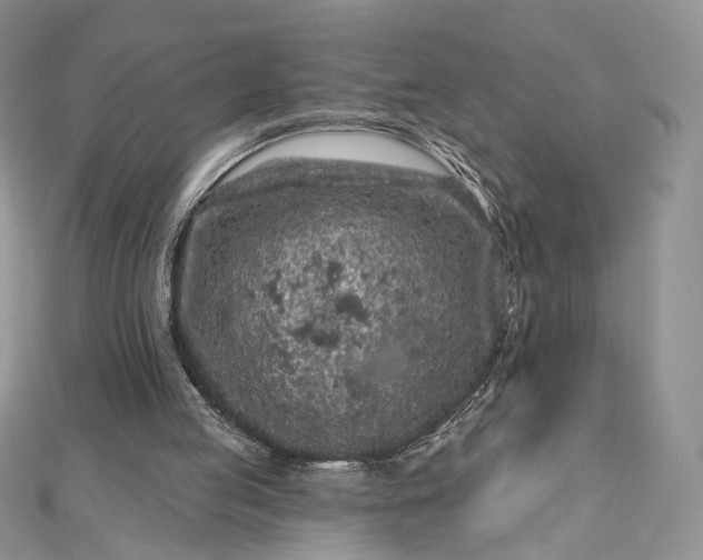 X0000112800053200909041441